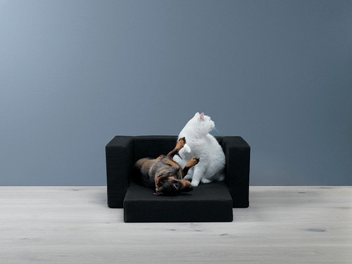 おしゃれ好きな愛犬&愛猫も納得!?『IKEA(イケア)』のペット用品5選