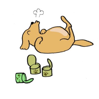 過ごしやすい時期こそ要注意!犬の「季節の変わり目で注意すること」