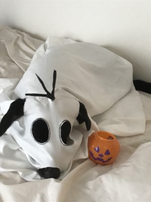今年は一緒に楽しもう！愛犬の「ハロウィン仮装」お手軽アイデア3つ