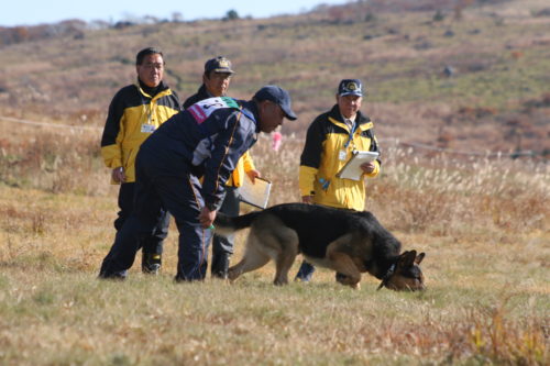 全国に約1,370頭!事件現場で活躍する「警察犬」の現状とは