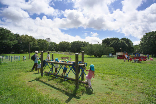 砧公園