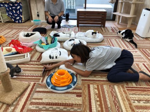 3つのポイントに注目!カメラマンに教わる「猫の撮り方」~レクチャー編〜