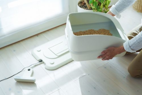 そろそろ秋支度を始めよう！猫が喜ぶ「お部屋充実グッズ」3選