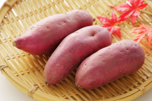 わんちゃん向け!秋の旬な「オススメ or 注意したい食べ物」とは