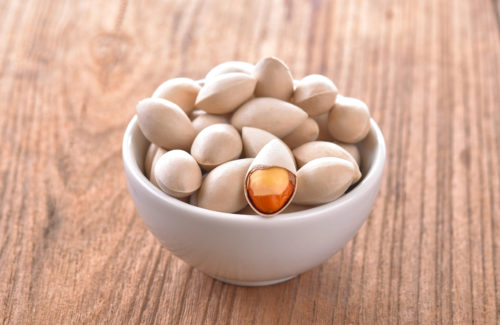 わんちゃん向け!秋の旬な「オススメ or 注意したい食べ物」とは