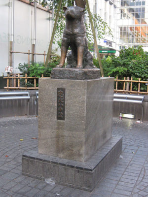 飼い主さんとの楽しい思い出が重要!犬の「記憶力」についてわかってきてこと
