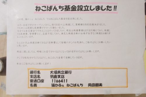 しぐさで知る犬の気持ち～第1弾～「視覚によるコミュニケーション」