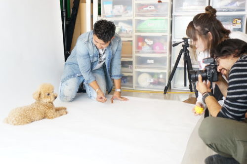 わんちゃんのオーディションに密着!タレント犬の事務所に直接取材~第2弾~