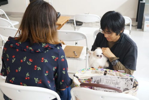 わんちゃんのオーディションに密着!タレント犬の事務所に直接取材~第2弾~