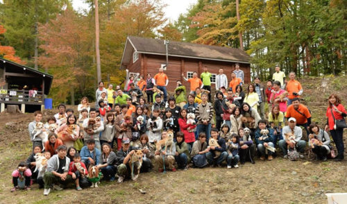 厳しい審査は愛情の証!犬の「里親」になるための条件とは