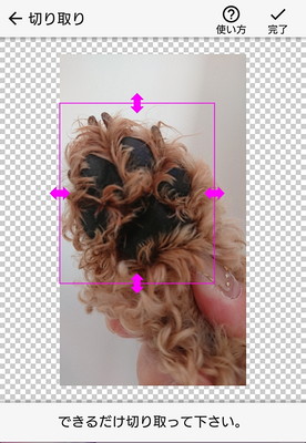 スマホアプリで簡単に作れる!愛犬の「肉球スタンプ」が可愛いオリジナル年賀状