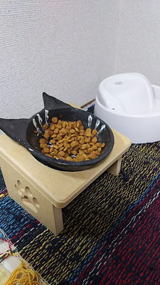 愛猫と心に残るクリスマスを過ごそう!「おすすめ仮装&楽しみ方」大公開