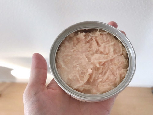 本当に安心なものが知りたい!愛猫に食べさせたい「おすすめの猫缶」4選
