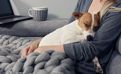 日本に着くまで安心は禁物!? 愛犬との海外旅行「現地での生活&帰国まで」