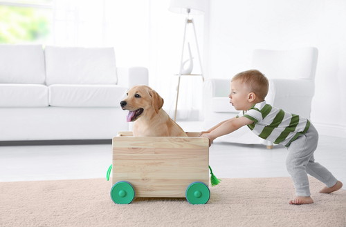 楽しい思い出をたくさん作ろう!「子どもと犬」一緒に仲良く暮らす方法