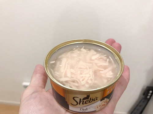 siba2.jpg