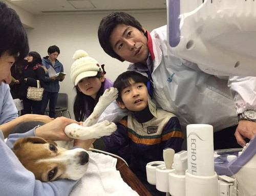 動物医療はここまで進化!獣医師に聞く最先端の骨折治療「ロッキングプレート法」とは?