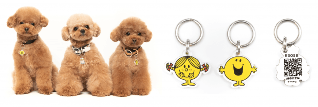 あれば快適ないと不便!? 犬と一緒の旅に持っていきたい「便利グッズ」3選