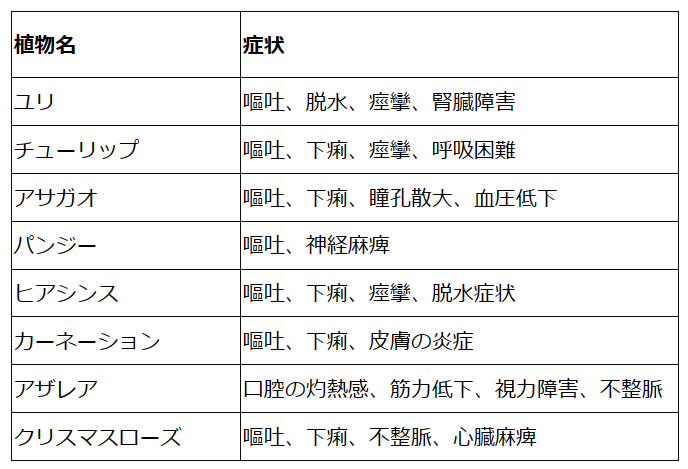 ﾇ状.png