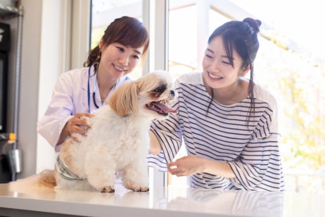 春に多い アレルギー性皮膚炎