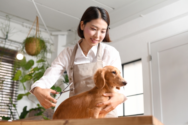 換毛期におすすめできない行為は？