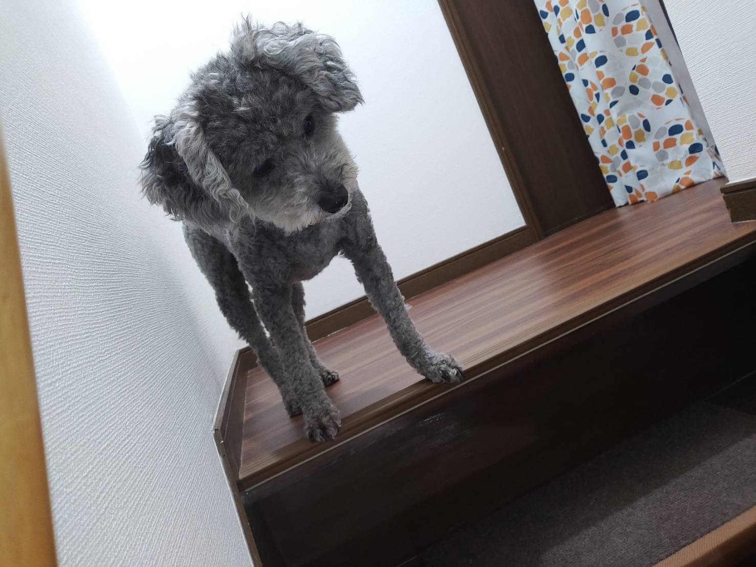 階段