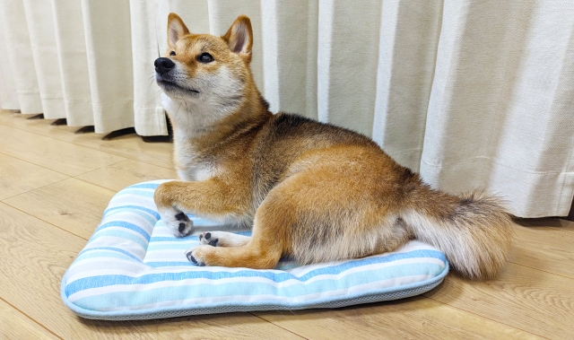 202308o01.jpg