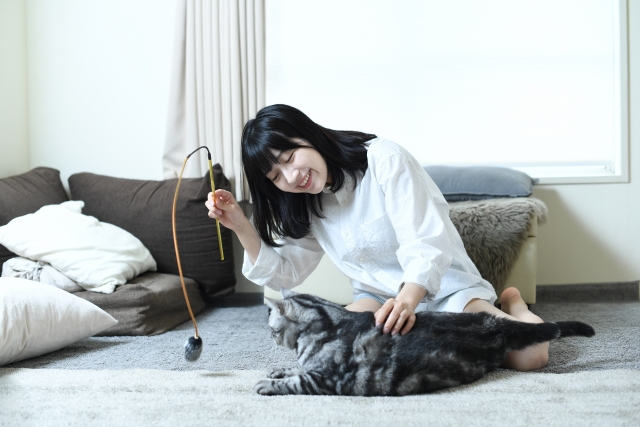 ごはんを食べない猫に対する5つの具体的な対処法