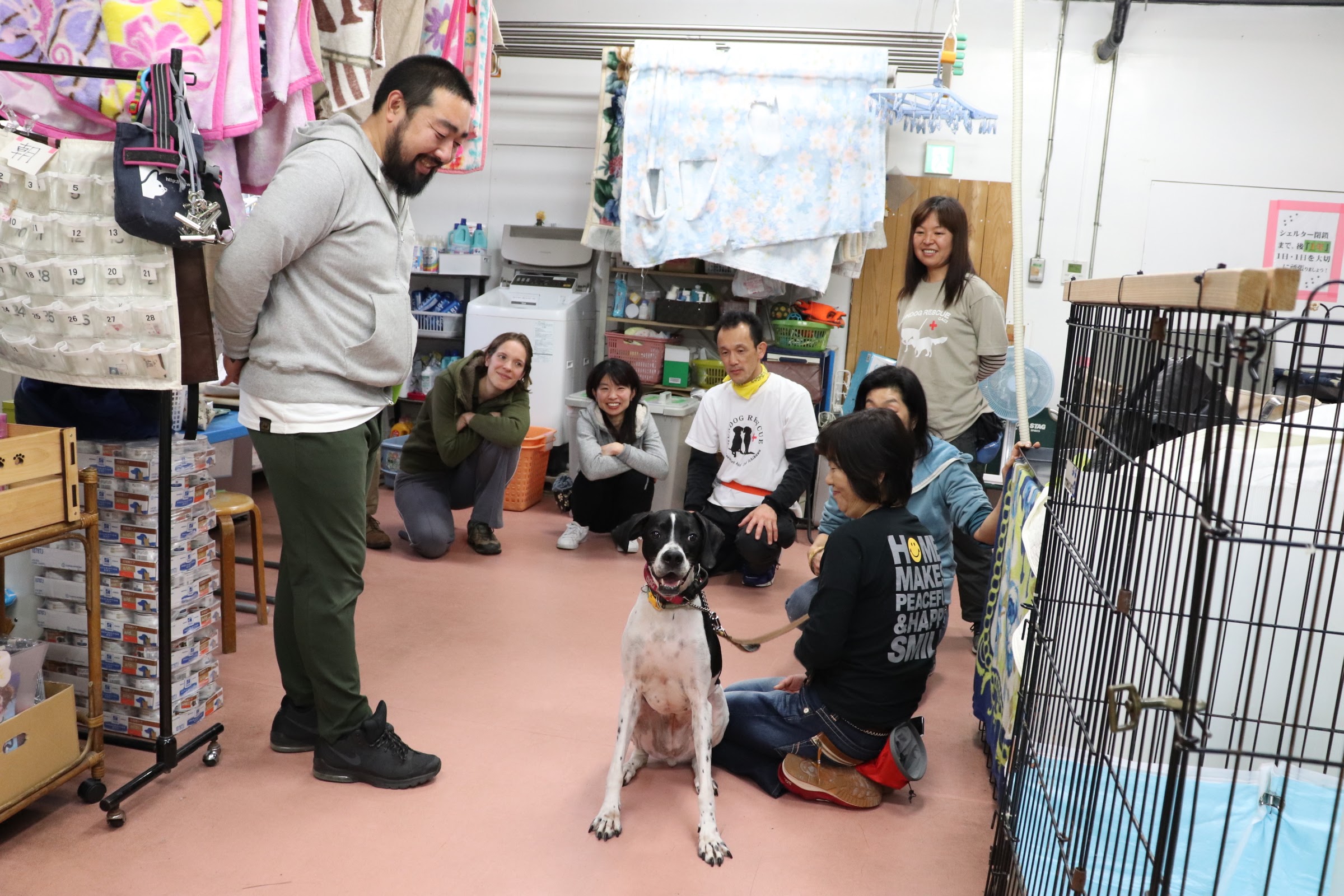 保護犬団体や里親さんの生の声は？保護犬・保護猫の幸せのために私たちができること～後編～