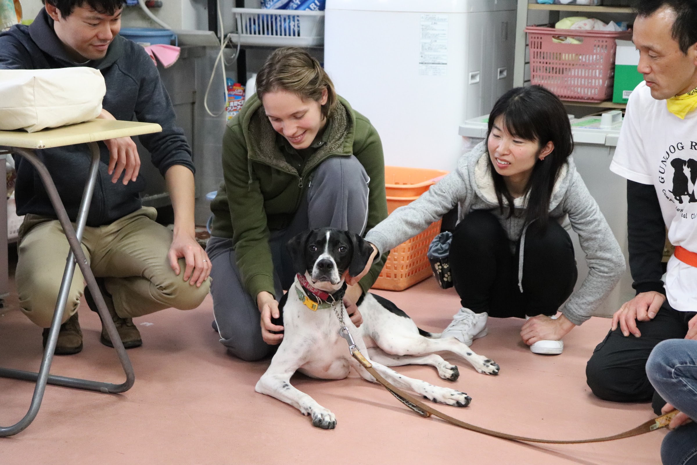 保護犬団体や里親さんの生の声は？保護犬・保護猫の幸せのために私たちができること～後編～