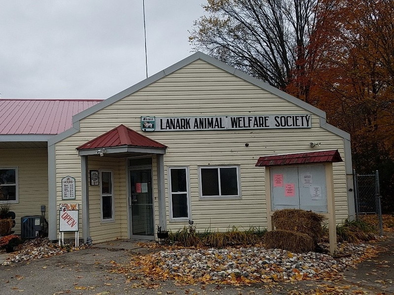 シェルターに特化した獣医療を導入!カナダの動物保護施設「Lanark Animal Welfare Society」で動物保護事情を学ぶ