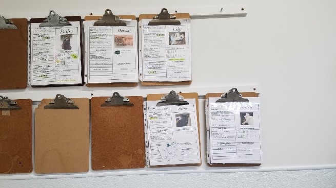 シェルターに特化した獣医療を導入!カナダの動物保護施設「Lanark Animal Welfare Society」で動物保護事情を学ぶ