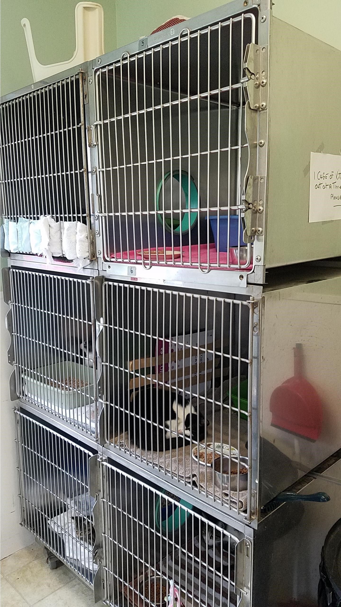 シェルターに特化した獣医療を導入!カナダの動物保護施設「Lanark Animal Welfare Society」で動物保護事情を学ぶ