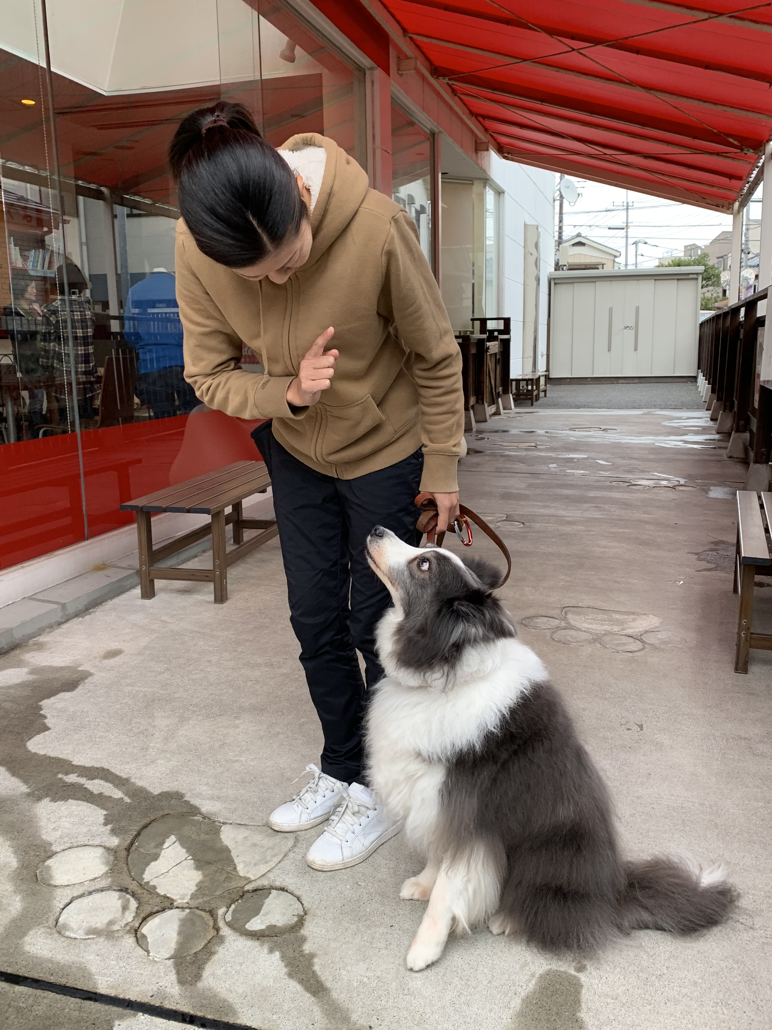 避難所で落ち着いて過ごすためには…?今日からはじめる!ペットの防災対策〜ドッグトレーナー編・後編~