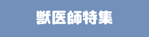 獣医師特集