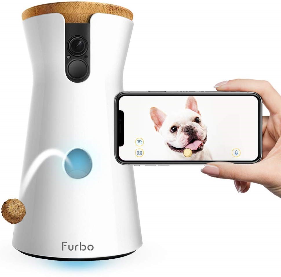 ストレスフリーに貢献!愛犬のお世話に使いたい「IoTグッズ」3選