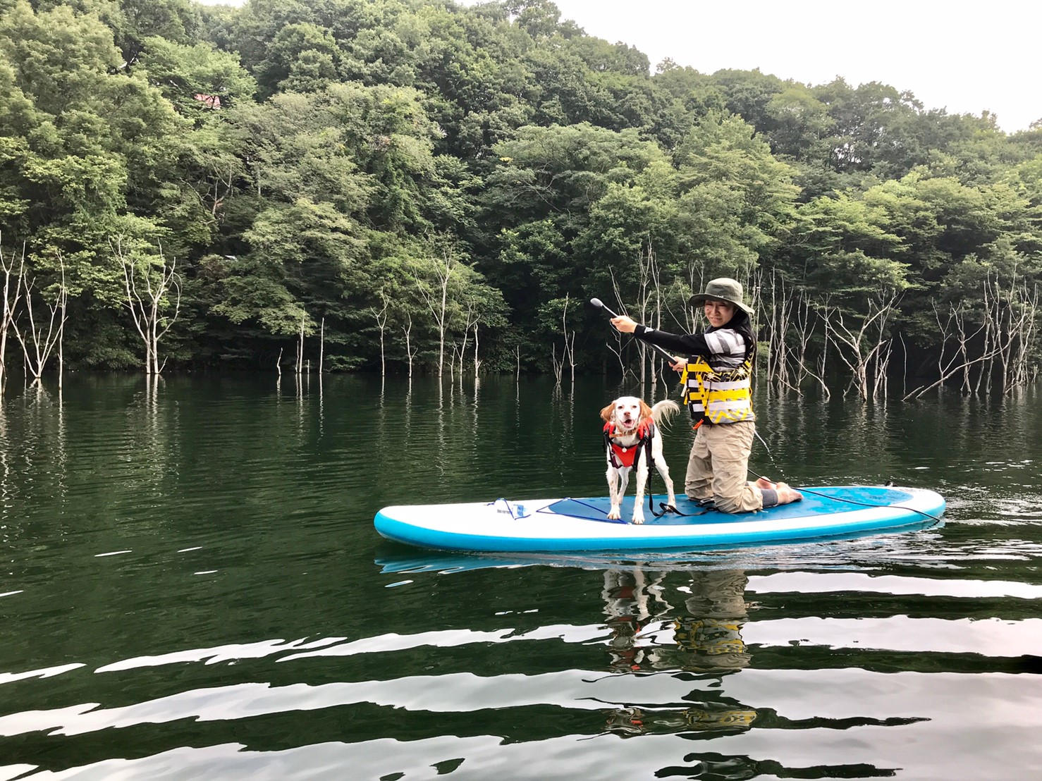 保護犬団体や里親さんの生の声は?保護犬・保護猫の幸せのために私たちができること~後編~
