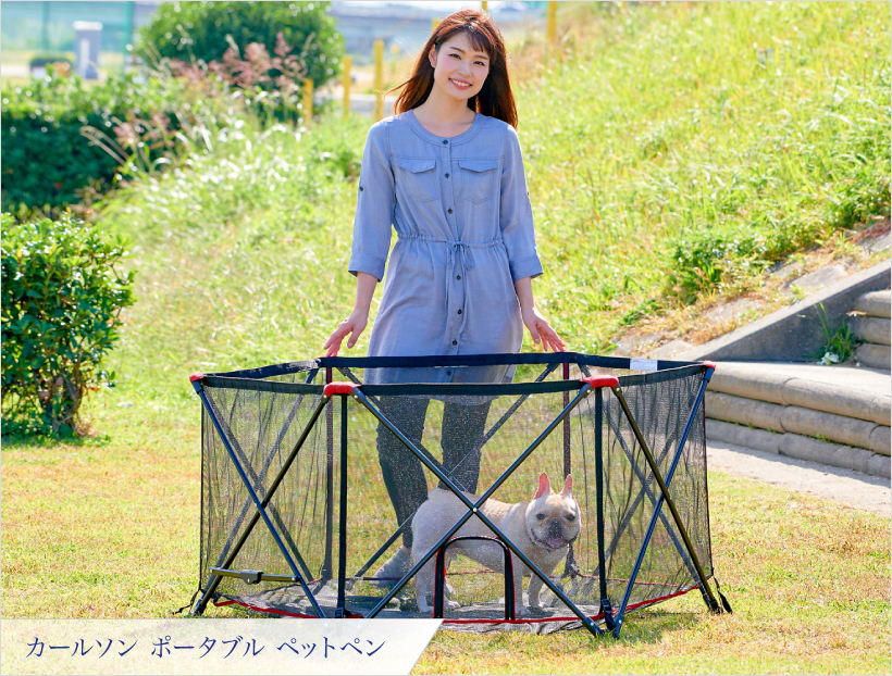 あれば快適ないと不便!? 犬と一緒の旅に持っていきたい「便利グッズ」3選