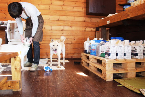 保護犬とふれあえる!茨城県・つくば市『キドックスカフェ』の取り組みに密着