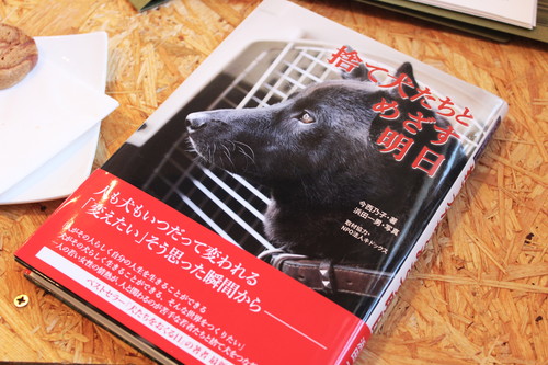 保護犬とふれあえる!茨城県・つくば市『キドックスカフェ』の取り組みに密着