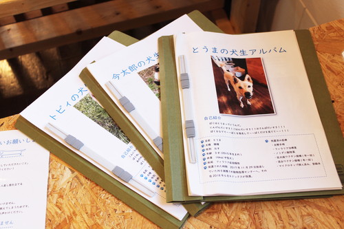保護犬とふれあえる!茨城県・つくば市『キドックスカフェ』の取り組みに密着