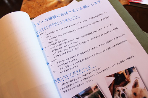 保護犬とふれあえる!茨城県・つくば市『キドックスカフェ』の取り組みに密着
