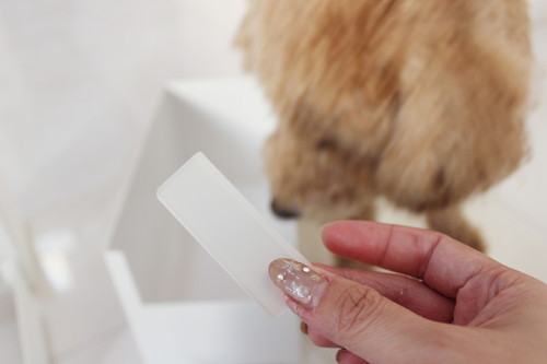 生活感を隠してスッキリ!ペットのお手入れグッズ「オシャレ&便利」収納術