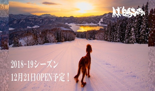 ルールを守って楽しく滑ろう!愛犬と一緒に行ける「スキー場」4選