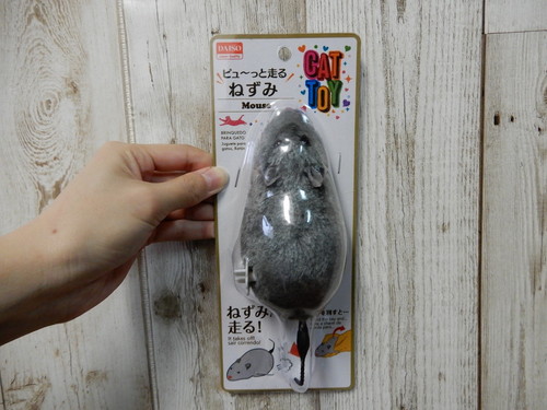 100均『ダイソー』で手に入る!おすすめ「ペットグッズ」5選~猫編~