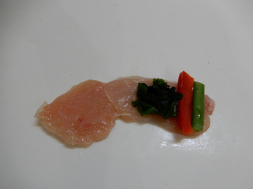 愛犬とお揃い!わんちゃんも食べられる「春の行楽弁当」レシピ