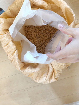 なんだか気になる…!猫の「トイレ臭」をスッキリ取り除く万能アイテム3選