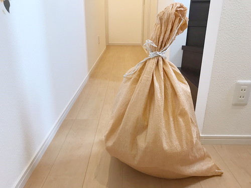 なんだか気になる…!猫の「トイレ臭」をスッキリ取り除く万能アイテム3選