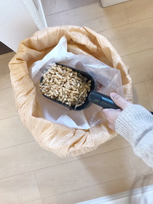 なんだか気になる…!猫の「トイレ臭」をスッキリ取り除く万能アイテム3選