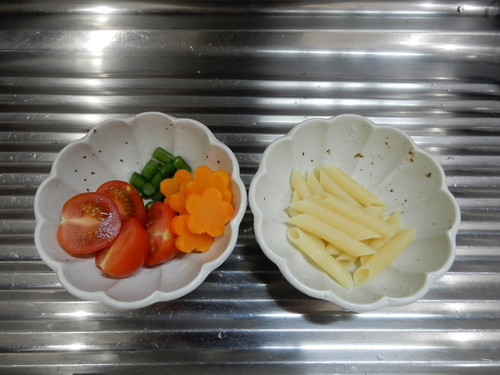 愛犬とお揃い!わんちゃんも食べられる「春の行楽弁当」レシピ